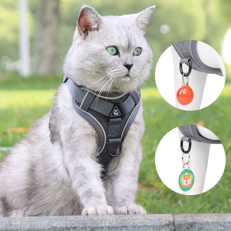 Conjunto coleira "( guia )"  à prova de fuga ideal para caminhadas diárias ou noturnas.
