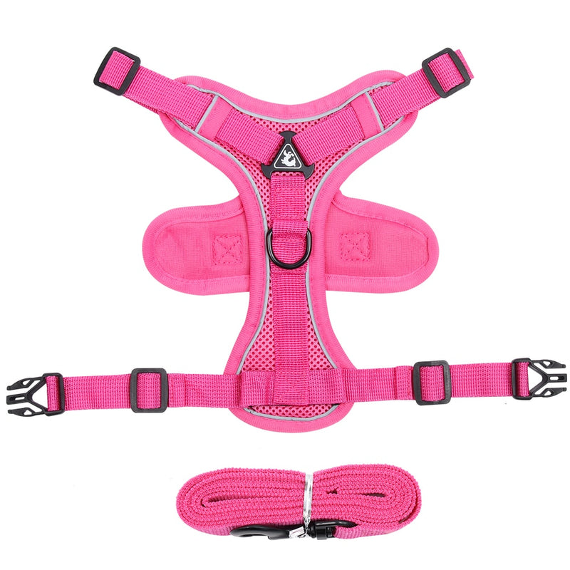 Conjunto coleira "( guia )"  à prova de fuga ideal para caminhadas diárias ou noturnas.